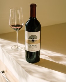 Special Event - Progeny on The Road Ticket